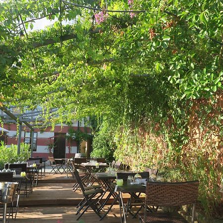 Foresteria Ristorante Conti Roero Monticello d'Alba エクステリア 写真